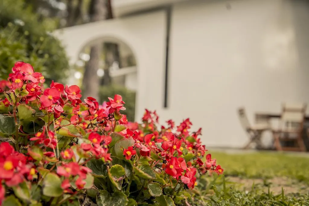 סאני ביץ' Beautiful Holiday Villa In Sani